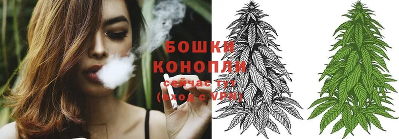 Конопля SATIVA & INDICA  Богучар 